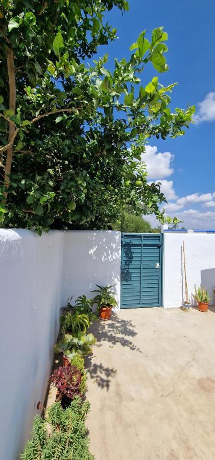 Casa El Limonero N 11 A Apartment